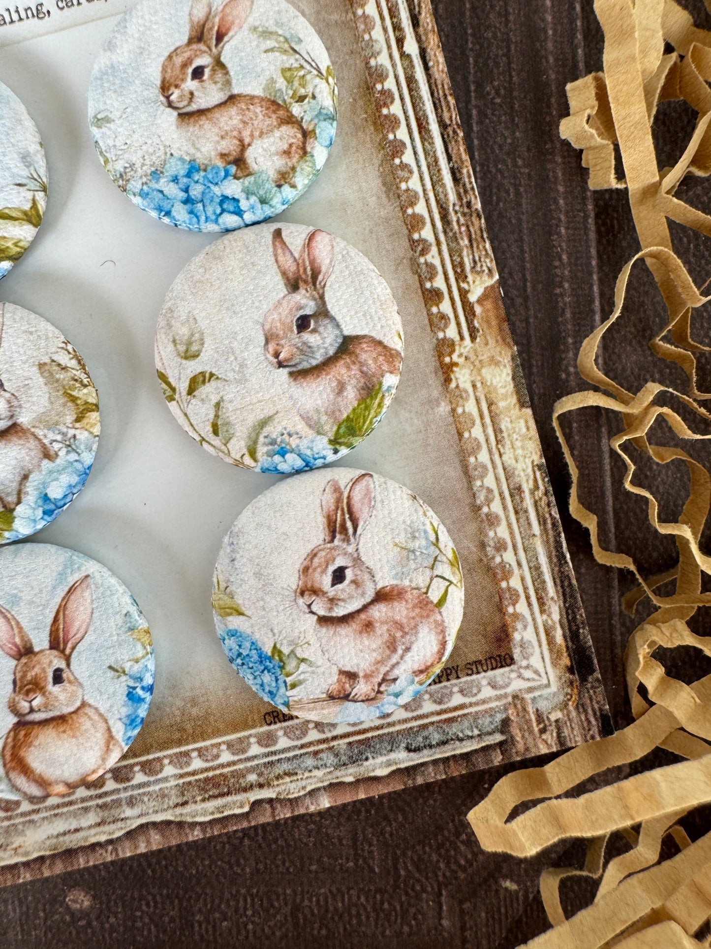 Vintage Hydrangeas And Bunnies Canvas Flair Buttons