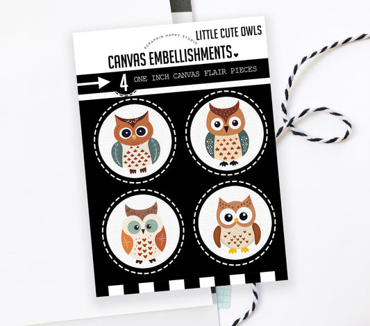 Little Cute Owls Canvas Flair