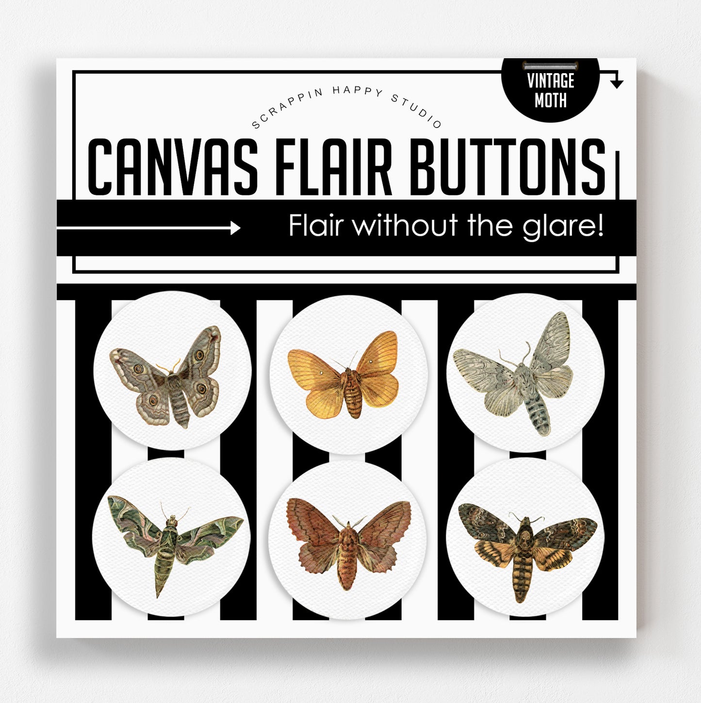 Vintage Moths Canvas Flair