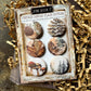 Vintage Forest Walk Canvas Flair Buttons