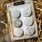 Vintage Morning Mist Canvas Flair Buttons