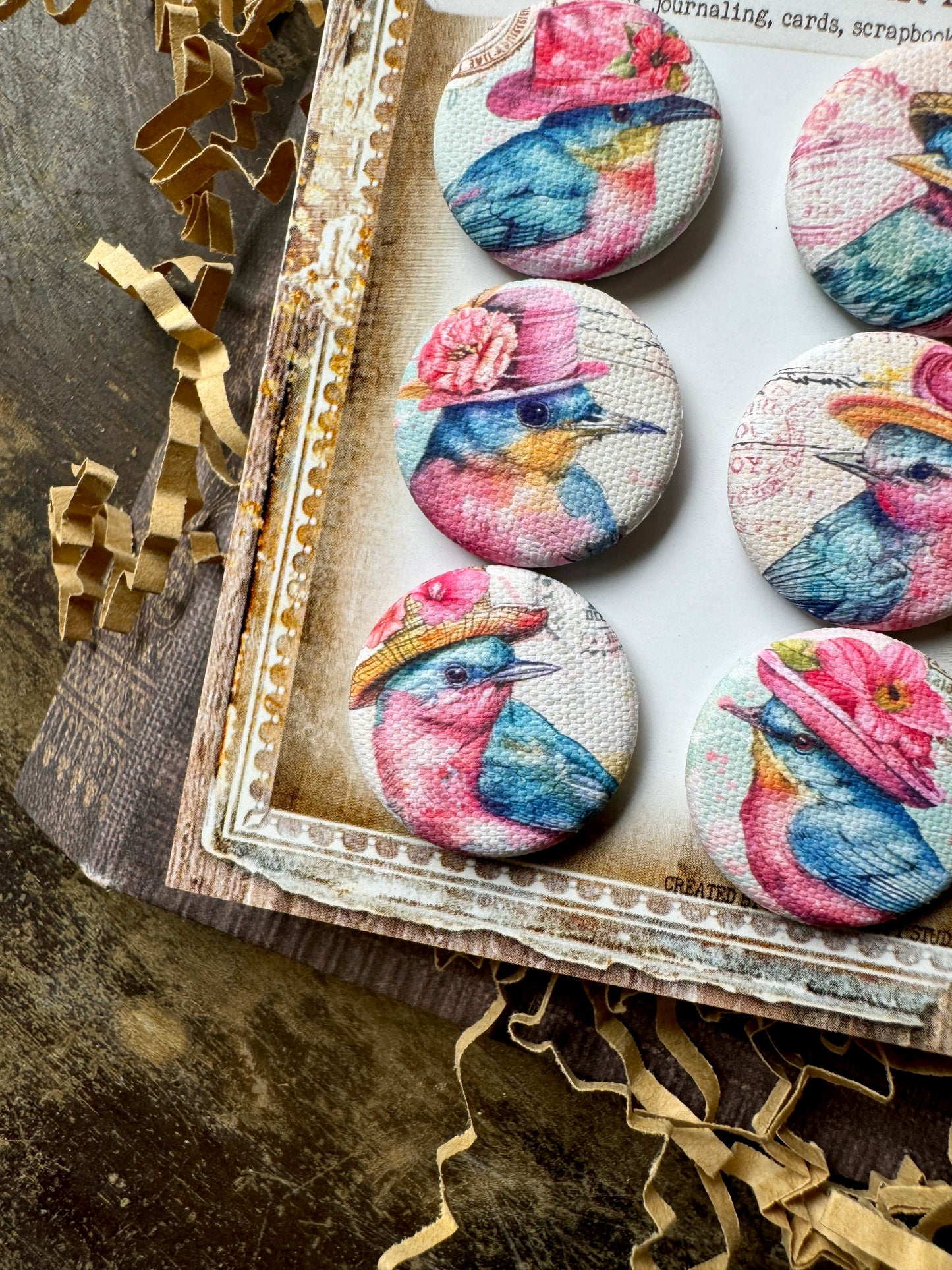 Vintage Sassy Birds Canvas Flair Buttons