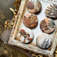 Vintage Forest Walk Canvas Flair Buttons