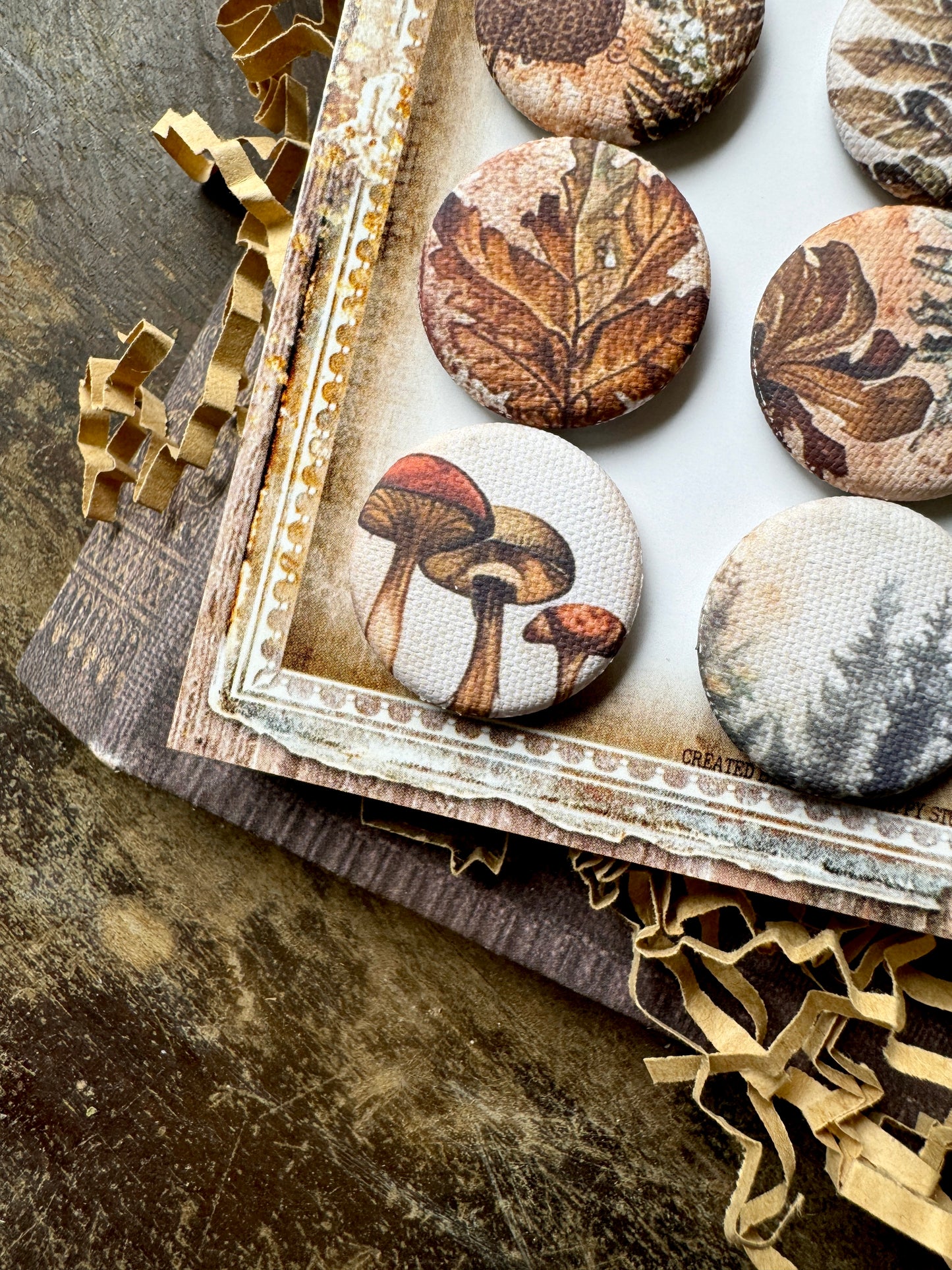 Vintage Forest Walk Canvas Flair Buttons