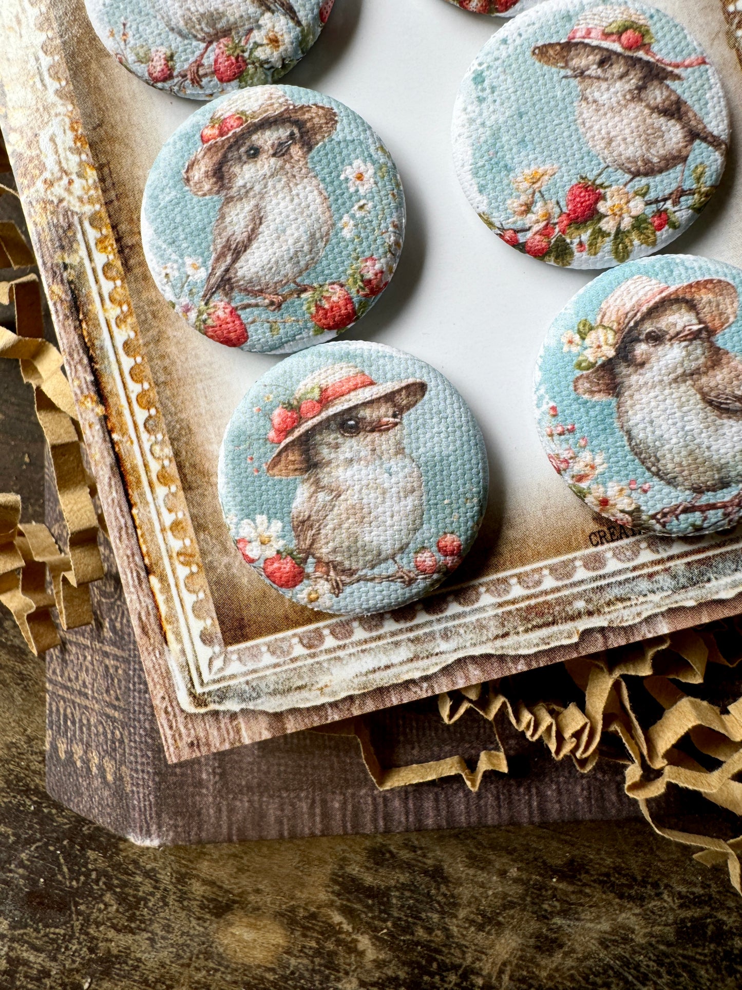 Vintage Sweet Birds Canvas Flair Buttons