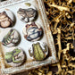 Vintage Frogs Canvas Flair Buttons