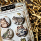 Vintage Frogs Canvas Flair Buttons