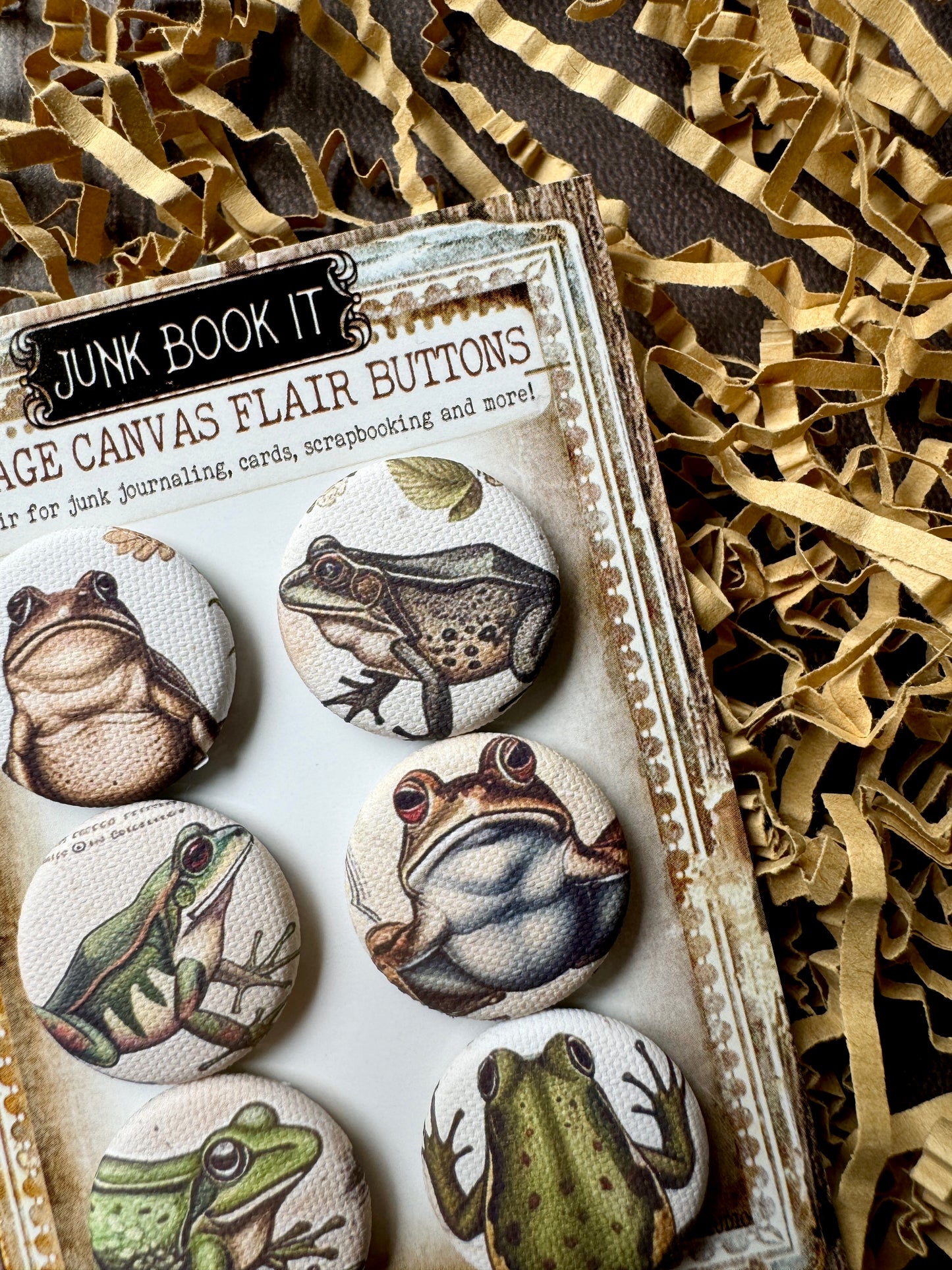 Vintage Frogs Canvas Flair Buttons