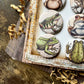 Vintage Frogs Canvas Flair Buttons