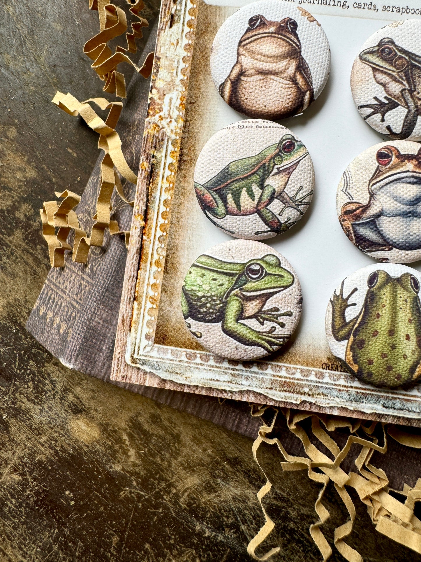 Vintage Frogs Canvas Flair Buttons