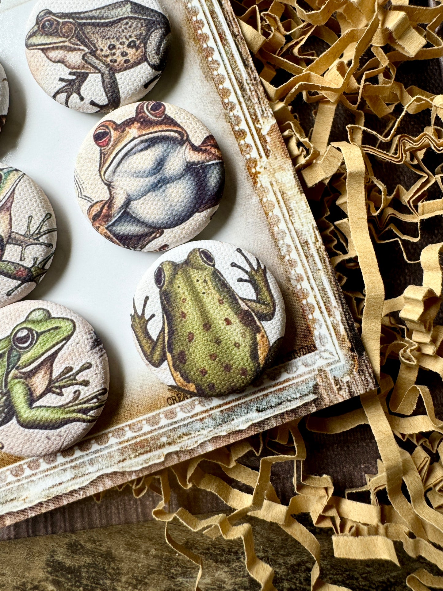 Vintage Frogs Canvas Flair Buttons