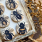 Vintage Bees Canvas Flair Buttons