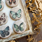 Vintage Butterfly Canvas Flair Buttons