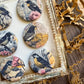 Vintage Garden Bird Canvas Flair Buttons